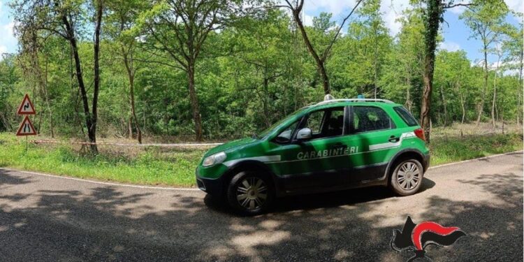 A Grosseto i carabinieri interrompono la situazione di pericolo