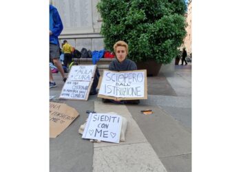 Una 17enne fa un sit-in contro 'sistema dell'educazione miope'