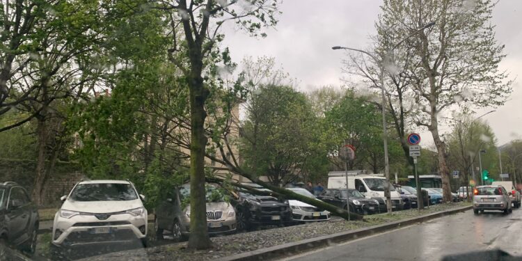 Maltempo a Como, pioggia e vento forte: alberi caduti e tetti scoperchiati