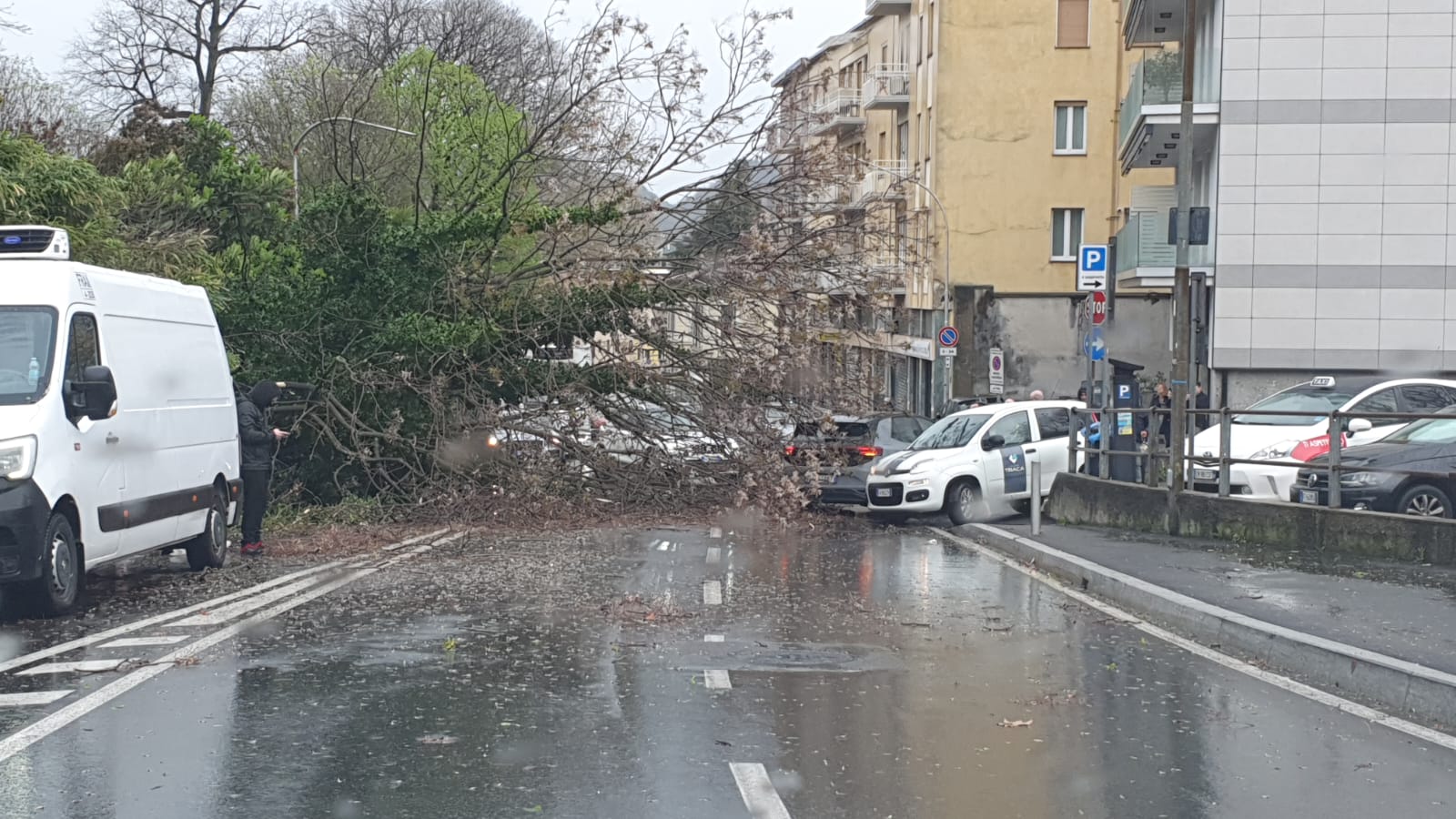 Maltempo a Como, pioggia e vento forte: alberi caduti e tetti scoperchiati