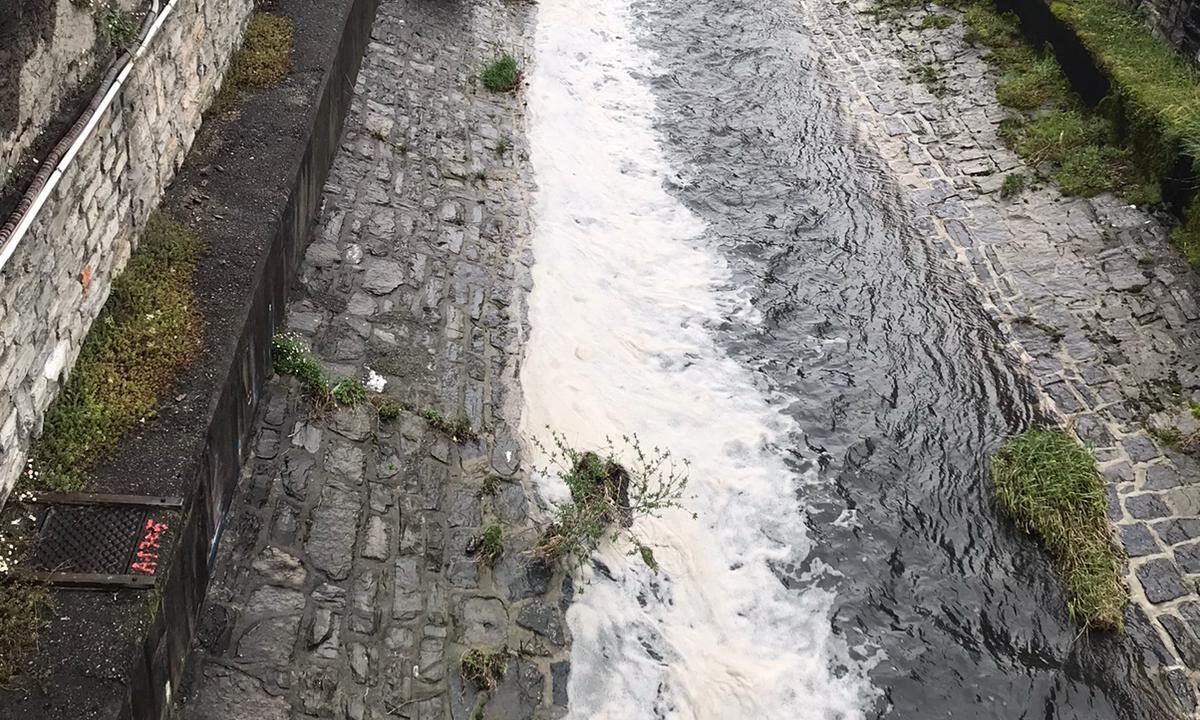 Schiuma bianca nel torrente Cosia. Il Comune: “In corso ulteriori analisi. Escluso problema serio”