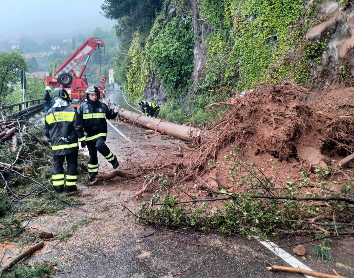 Albero caduto, resta il senso unico alternato sulla Regina tra Argegno e Colonno