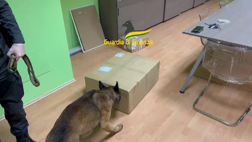 Ordina dieci chili di droga dalla Spagna ma ad effettuare la consegna è la guardia di finanza. Arrestato