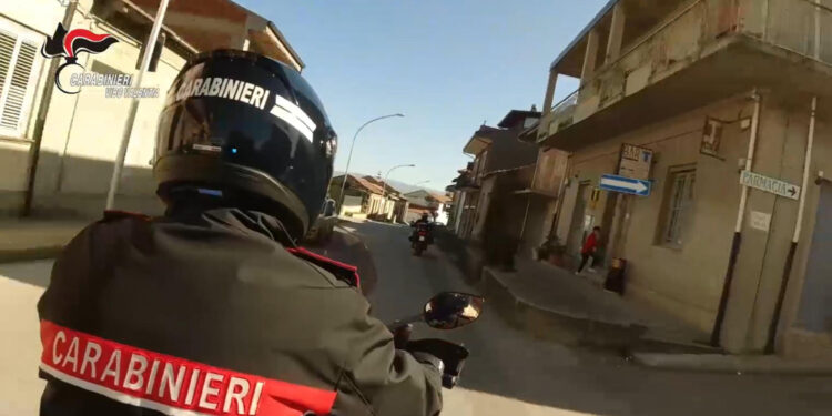 Nel Vibonese. Responsabili individuati dai carabinieri