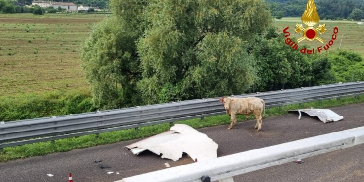 Rallentamenti e coda nel vicentino in direzione Venezia