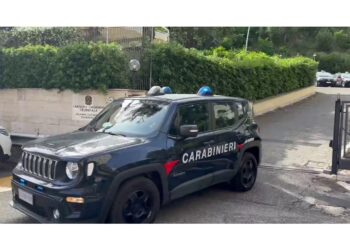 Indagine dei carabinieri