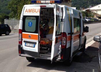 Sarebbe rimasto schiacciato da un cavallo contro un cancello