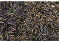 Rivendicata la cattura di Klescheevka