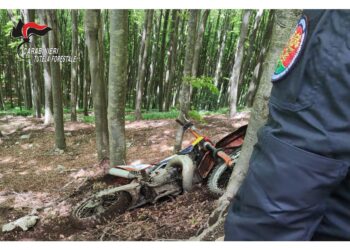 Gare ed esercitazioni in area protetta nell'Avellinese