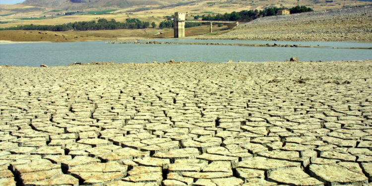 Avrà una durata di 12 mesi