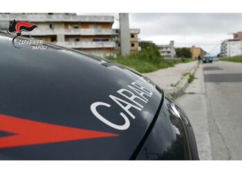 Carabinieri riconoscono cane e individuano il covo del latitane