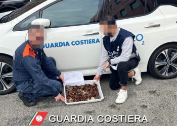 Guardia Costiera Spezia smantella filiera illegale