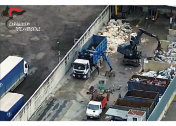 Blitz del Noe tra Napoli