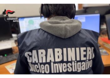 In corso blitz con sequestri dei carabinieri coordinati da Dda