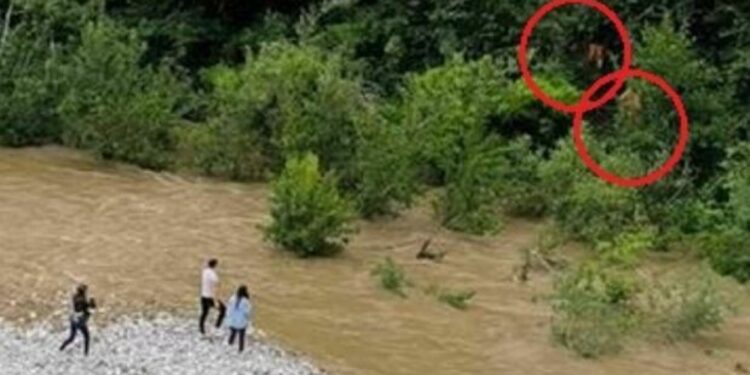 Parlarono con i tre ragazzi