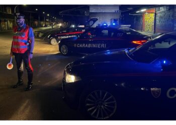 "A capo del gruppo Marcello Colafigli"