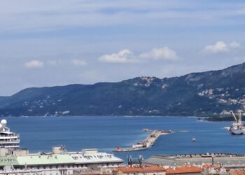 Da oltre una settimana lungo le Rive e la costa enormi chiazze