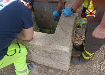 La donna ha invano tentato di salvarlo calandosi giù