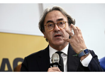 Il leader dei Verdi