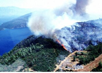 Le fiamme hanno colpito villaggi nel sud est