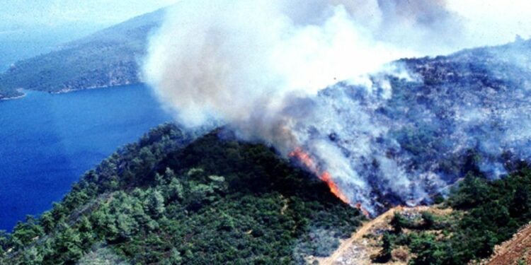 Le fiamme hanno colpito villaggi nel sud est