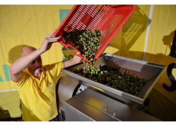 Da +67% per olio a +193% per la pasta. In 10 anni aumenti record