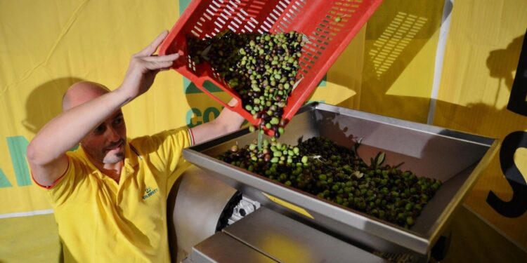Da +67% per olio a +193% per la pasta. In 10 anni aumenti record