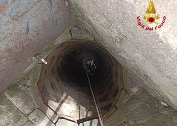 Atto dovuto per inchiesta