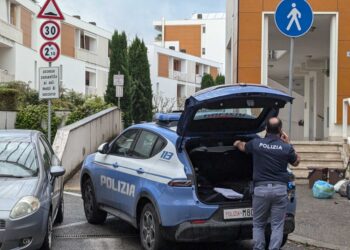 Omicidio volontario il reato ipotizzato