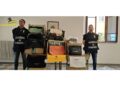 Operazione della guardia di finanza a Livorno verso l'estate