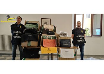 Operazione della guardia di finanza a Livorno verso l'estate
