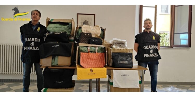 Operazione della guardia di finanza a Livorno verso l'estate
