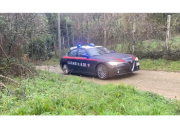 Arrestato dai carabinieri in Brianza padre di 68 anni