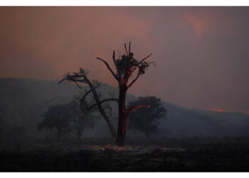 L'incendio nella contea di Los Angeles