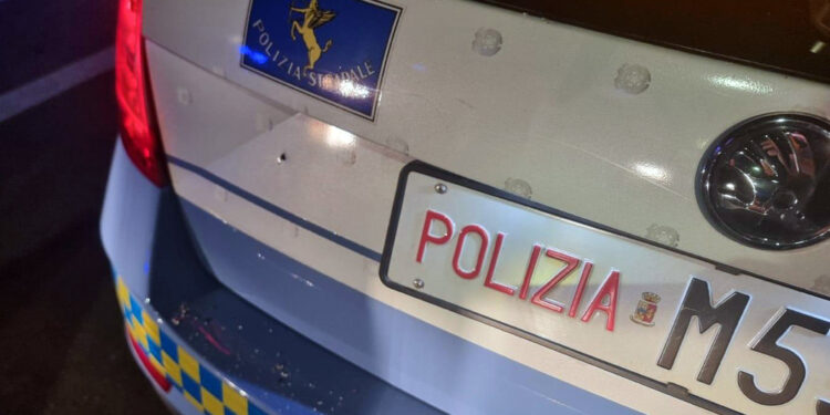 Pitbull incinta affidata ad un ricovero