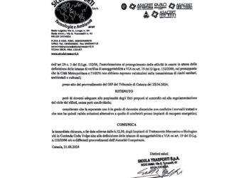 In parte Sicilia discariche a cielo aperto e mercatini chiusi