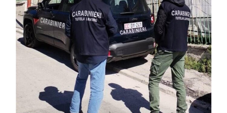 Operazione dei carabinieri nelle province di Napoli e Caserta