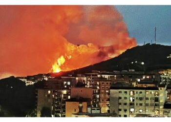 Zona boschiva in fiamme da alcune ore