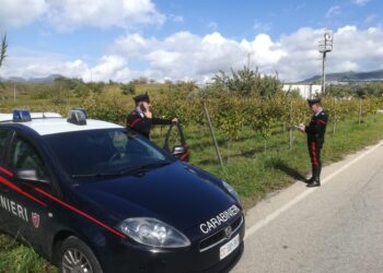 Braccio lasciato in cassetta ortaggi.'Atroce