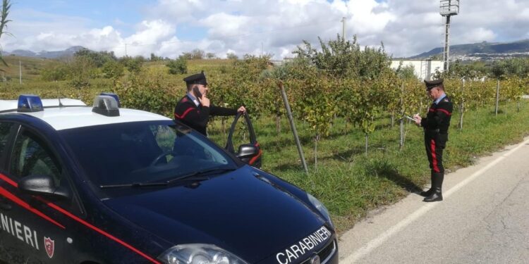 Braccio lasciato in cassetta ortaggi.'Atroce