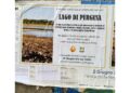Manifesti in città 'in sua memoria'