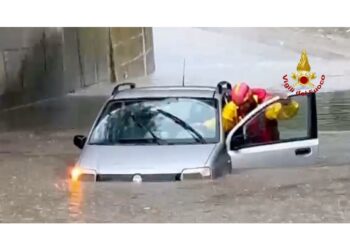 Dopo forte temporale alberi in strada e scantinati pieni d'acqua