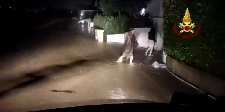 Dopo esondazione dell'Avenale. Proseguono interventi a Rovigo