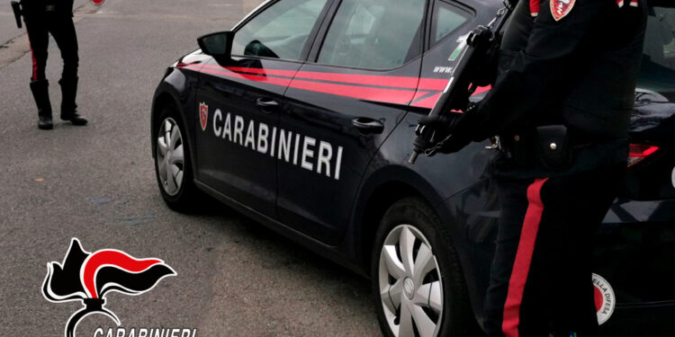 Trovati dai carabinieri in un capannone nel Reggino
