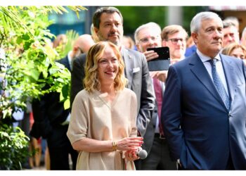 Disboschi norme che penalizzano imprese. Fare meno