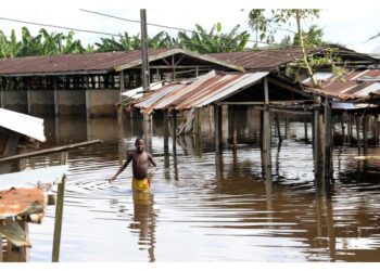 Le autorità locali danno la colpa ai cambiamenti climatici