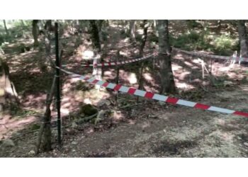 Un 36enne ucciso ieri a fucilate nella sua azienda