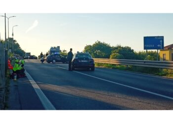 51enne con problemi psichici ha ucciso la madre con una pistola