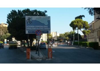 Travolto da mezzo in retromarcia