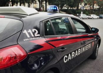 A Mafredonia operazione dei carabinieri